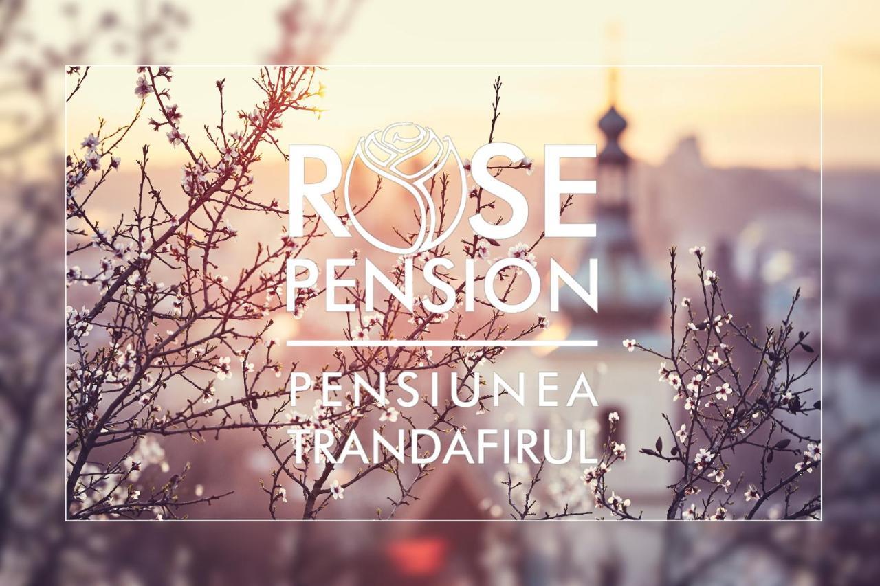 Pension Rose-Trandafirul Borsec Exterior foto