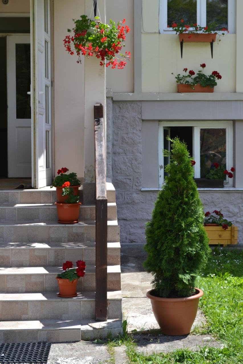 Pension Rose-Trandafirul Borsec Exterior foto
