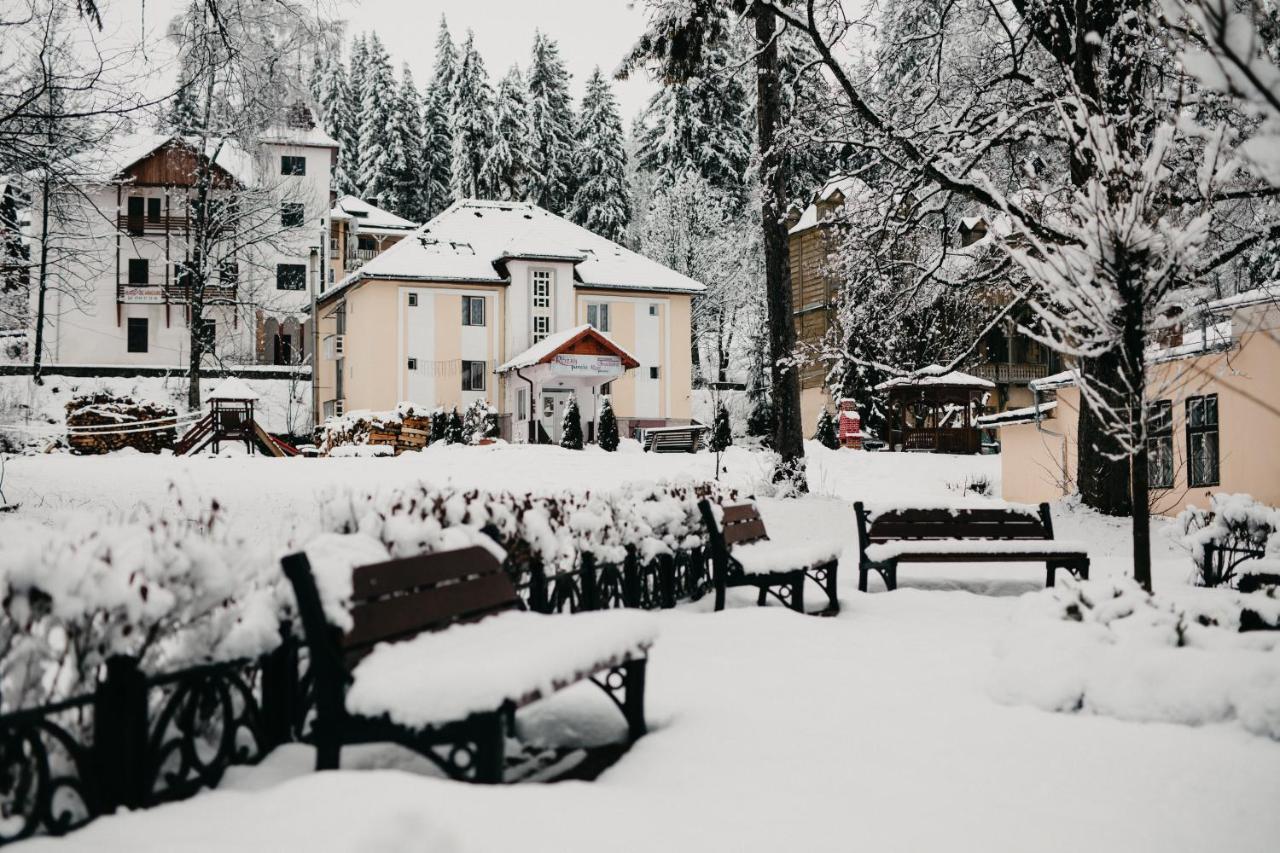Pension Rose-Trandafirul Borsec Exterior foto